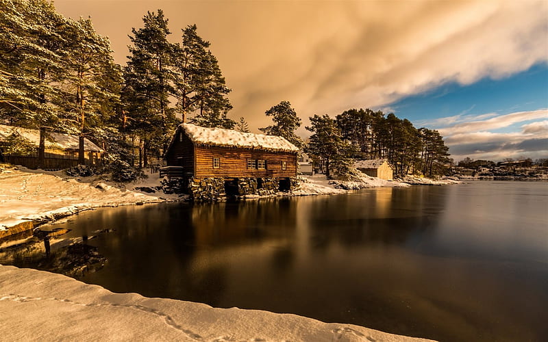 winter, forest, coast, Atlantic Ocean, Alesund Kommune, Norway, More og Romsdal, HD wallpaper