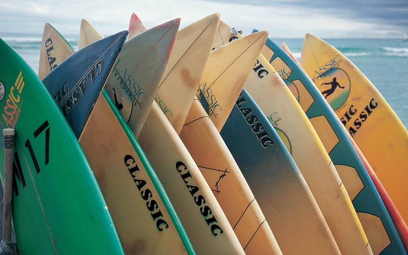 board surfing sea sport extreme-Sports theme, HD wallpaper