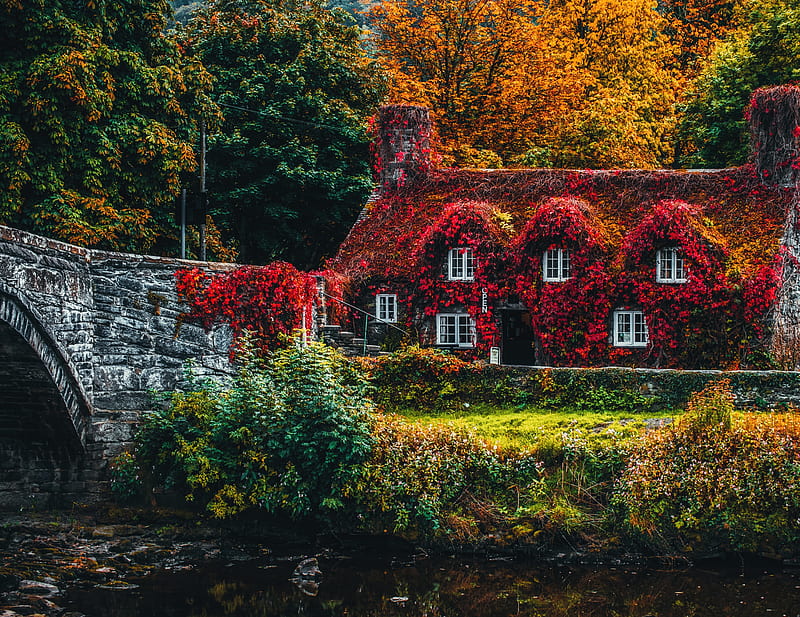 autumn, bridge, leaves, house, Nature, HD wallpaper