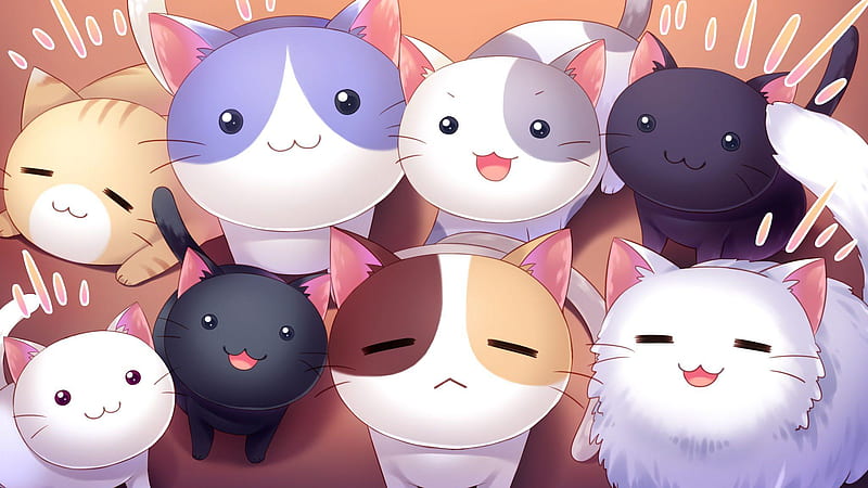 Kawaii Cat - , Kawaii Cat Background on Bat, Aesthetic Anime Cat, HD wallpaper