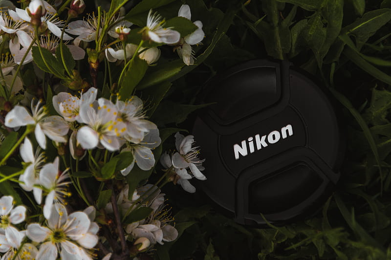 Black Nikon Camera Cap, HD wallpaper