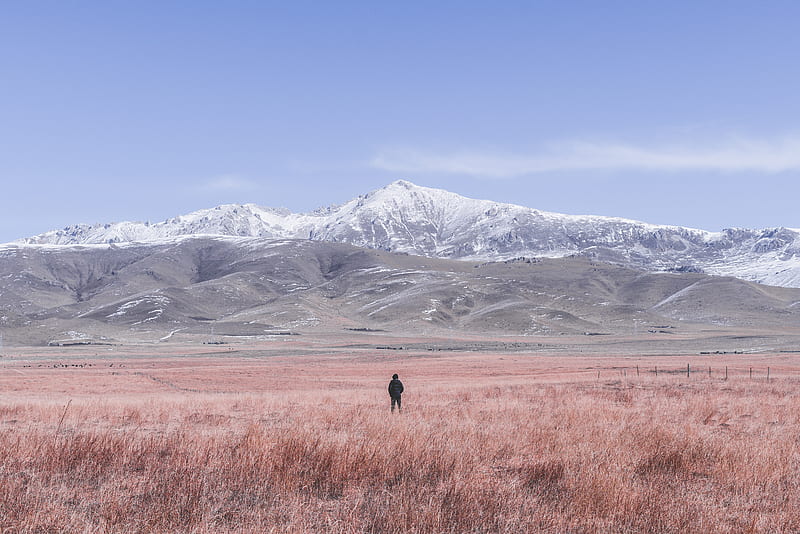 lonely man, field, mountains, clear sky, hoodie, Landscape, HD wallpaper