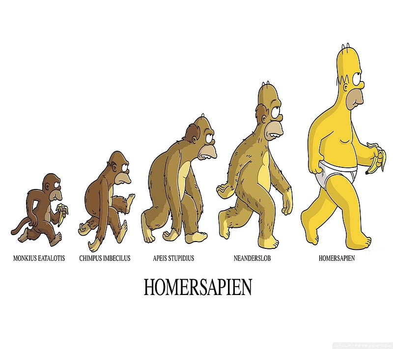 Homersapien, banana, cartoon, comedy, funny, homer, human, monkey, sapien, HD wallpaper