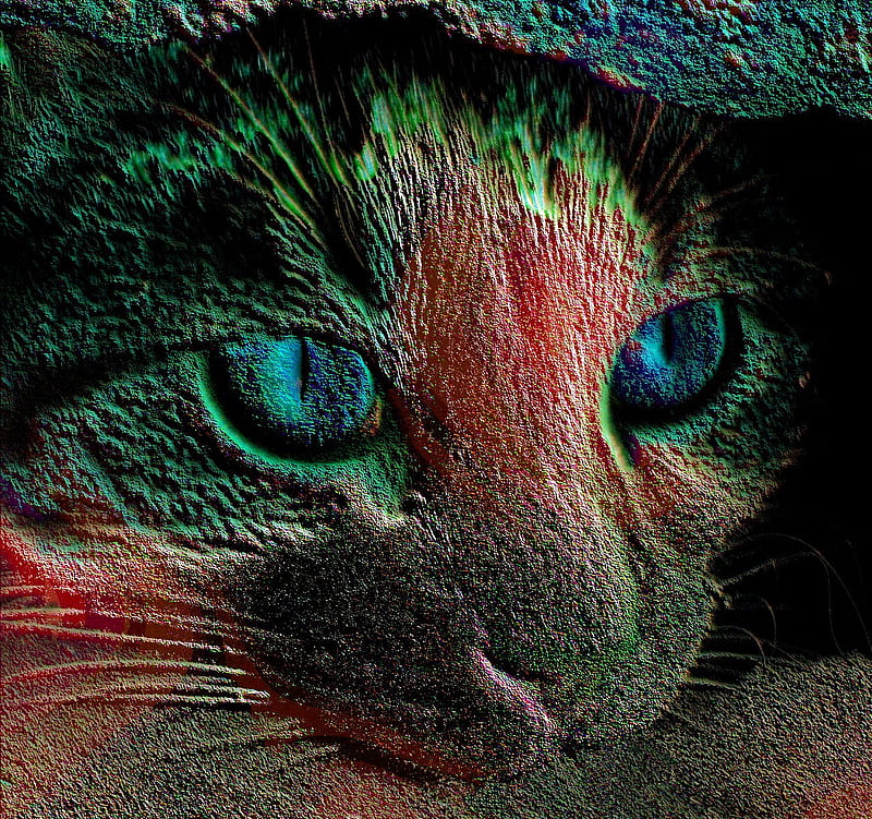 The cat of many colors, red, green, black, colors, face, cat, blue, HD wallpaper