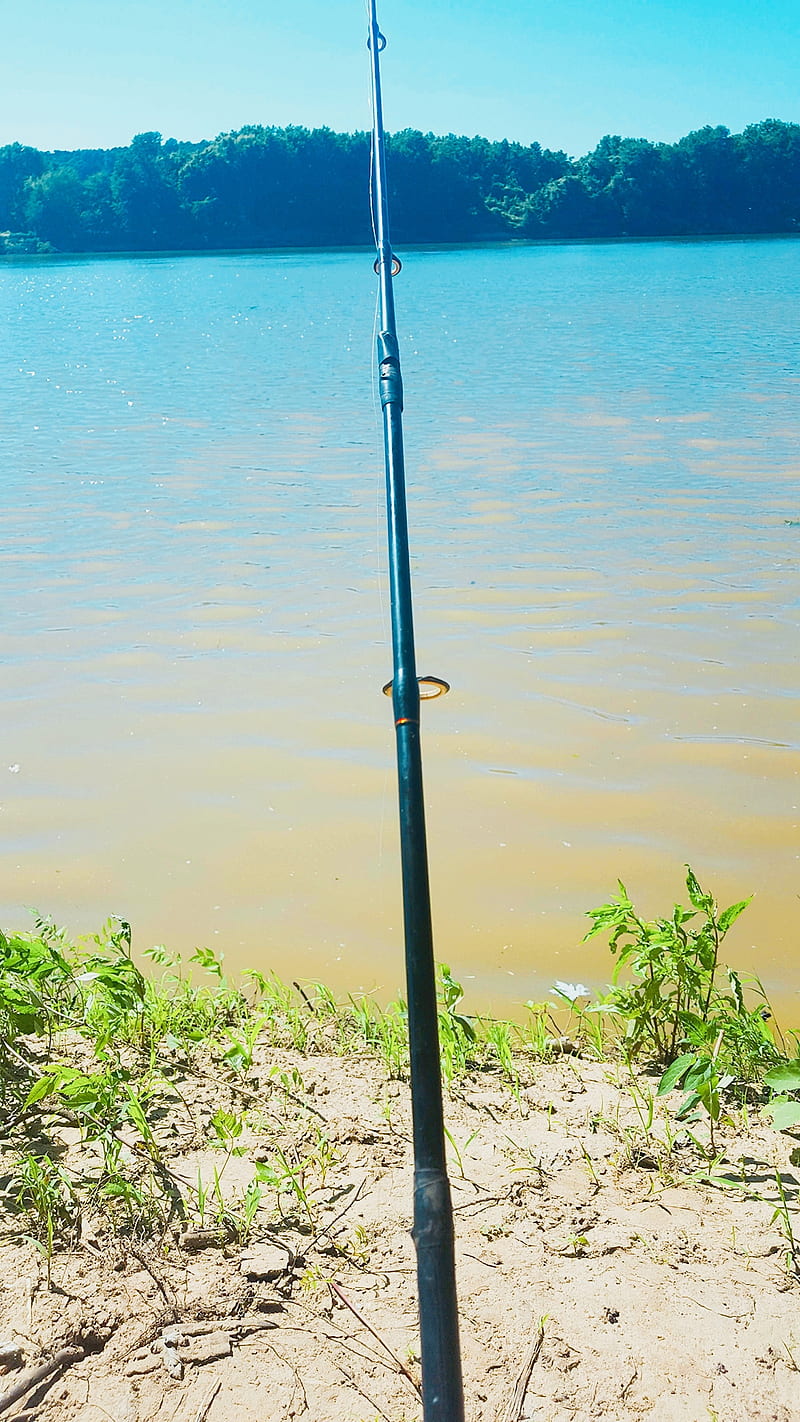 Summer fishing, fish, super, scotland, lake, water, reel, pole, HD phone wallpaper
