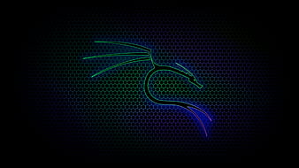 kali linux, electric blue, computer, neon, dragon, HD wallpaper