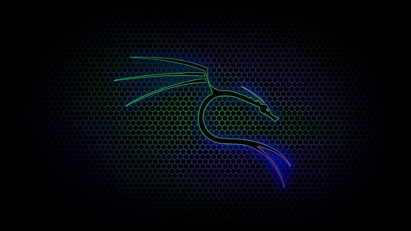 Kali linux electric blue computer neon dragon HD wallpaper  Peakpx