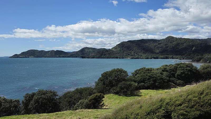 Whitianga Bay, Bay Of Plenty, New Zealand, trees, sky, water, coast, clouds, HD wallpaper
