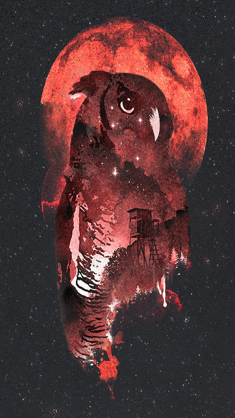 Dark Midnight Owl Red Hd Phone Wallpaper Peakpx