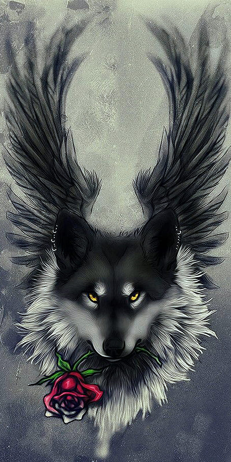 Wolf, black, rose, wings, HD phone wallpaper