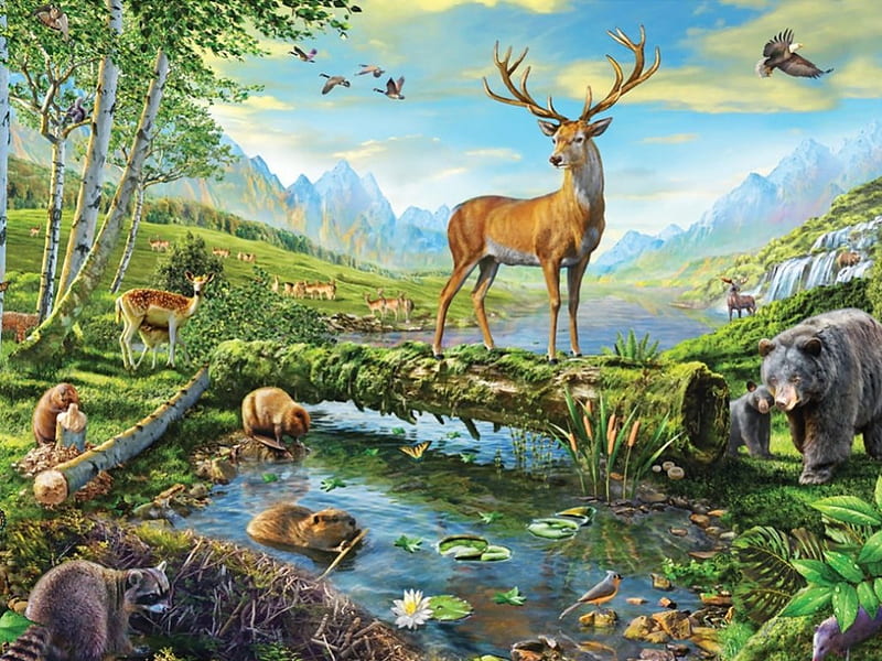 Wildlife Splendor F1C, art, eagle, bear, bonito, raccoon, artwork, deer, animal, beaver, painting, wildlife, HD wallpaper