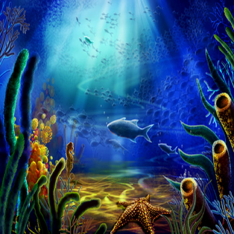 Deep blue, fish, dolphins, landscape, earth, ocean, under the sea, HD ...