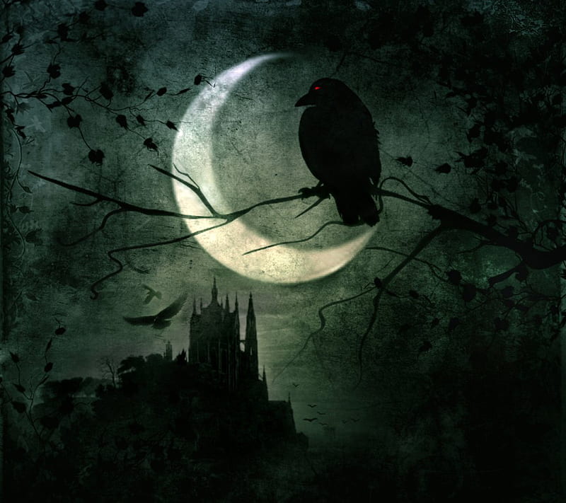The Watcher, bird, black, castle, crow, dark, gothic, moon, night, raven, HD wallpaper