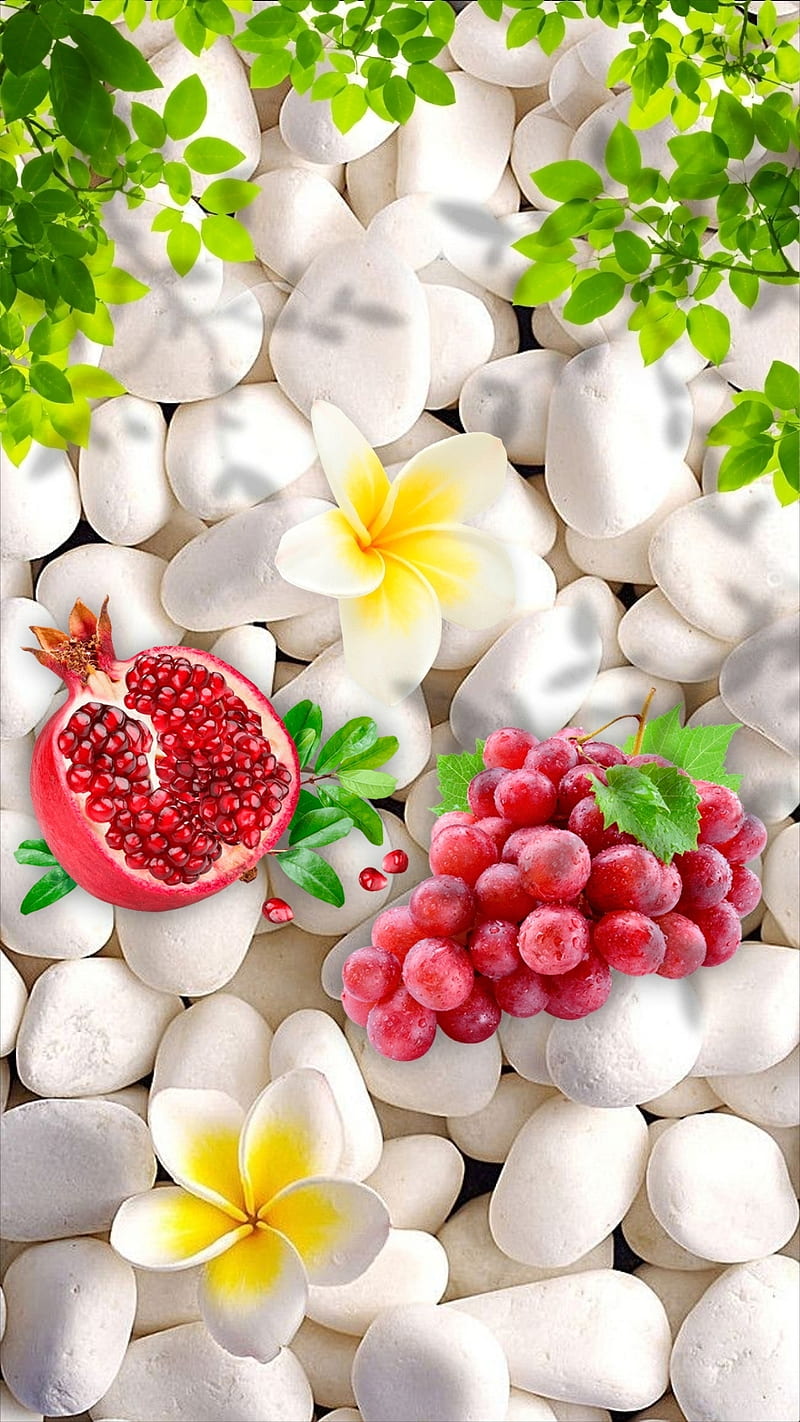 Summer fruits, flowers, green leaves, pebbles, pomegranate, red, red grapes, shadow, zen, HD phone wallpaper