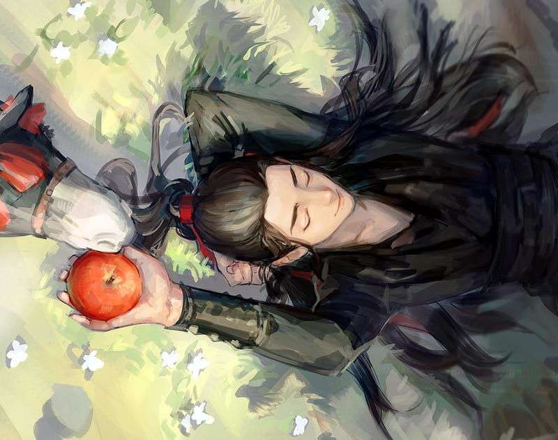 Mobile wallpaper: Anime, Wei Ying, Wei Wuxian, Mo Dao Zu Shi, 1007069  download the picture for free.