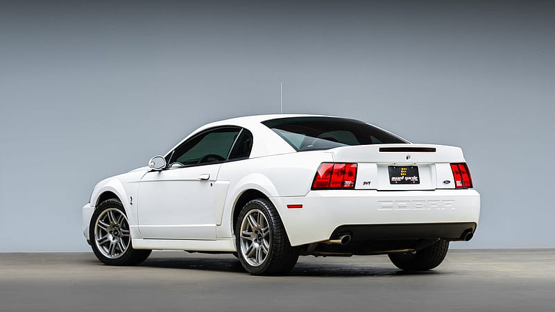 Ford, Ford Mustang SVT Cobra, Car, Coupé, Muscle Car, White Car, HD wallpaper