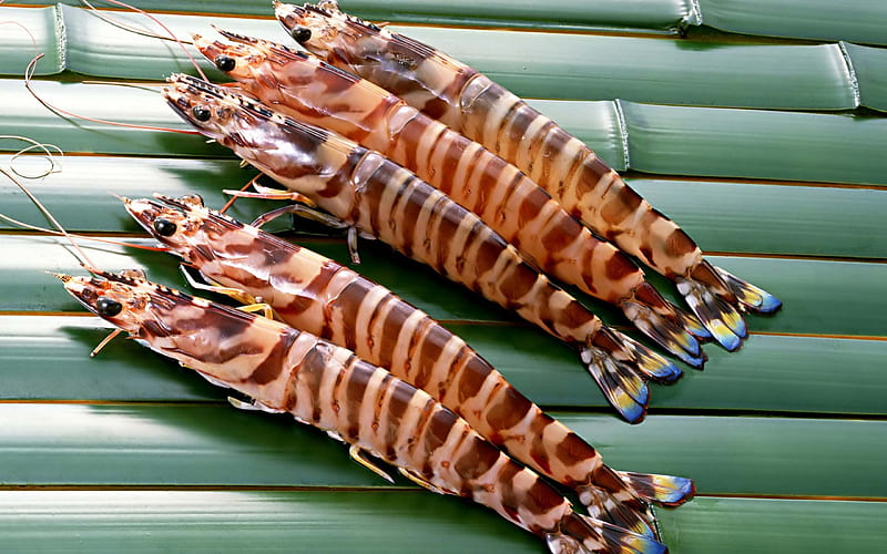 tiger prawn recipes, recipe, tiger, prawn, leaf, HD wallpaper