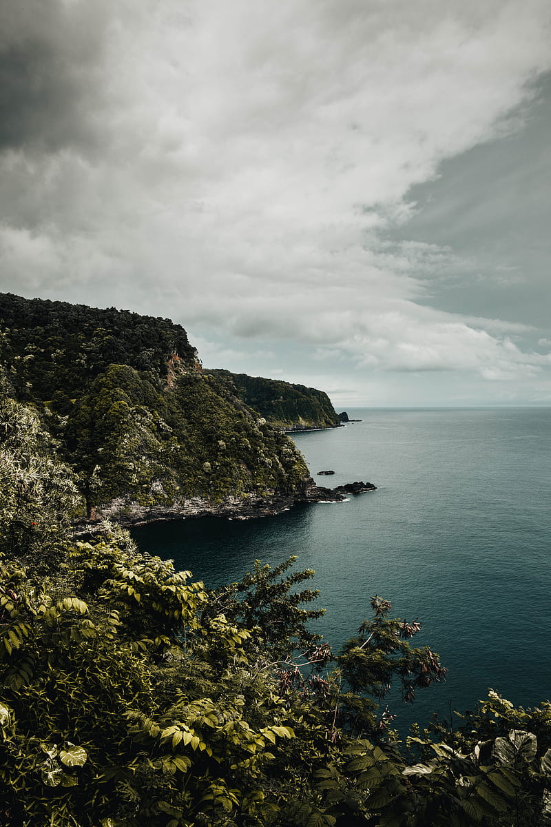 rocks, cliff, sea, trees, bushes, HD phone wallpaper