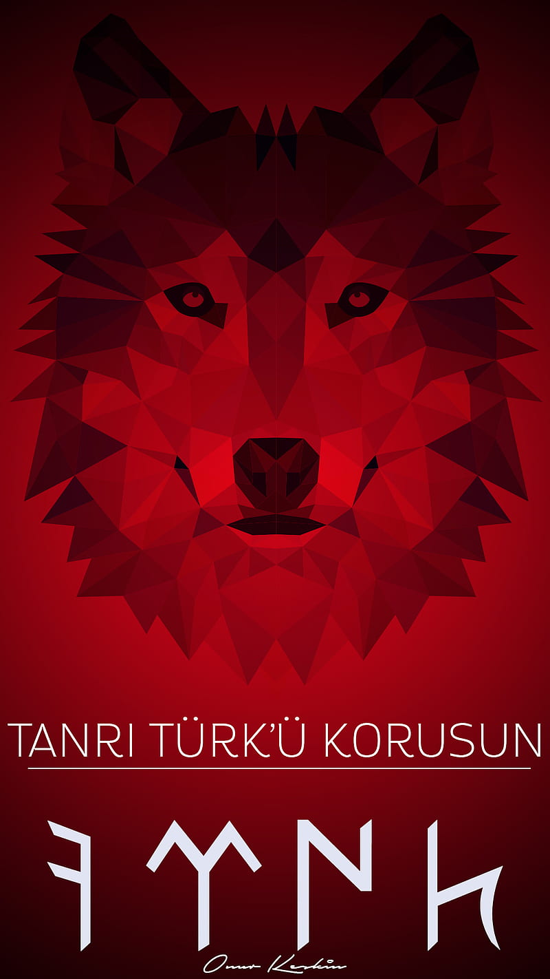 Turk, bozkurt, mhp, turkey, turkish, turkiye, HD phone wallpaper