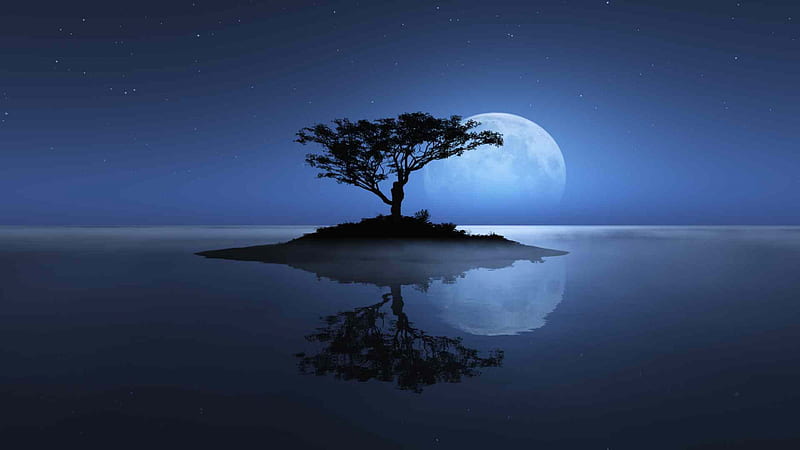 Tree of the Night, amazing, epic, gothic, life, moon, stars, tree of night, HD wallpaper