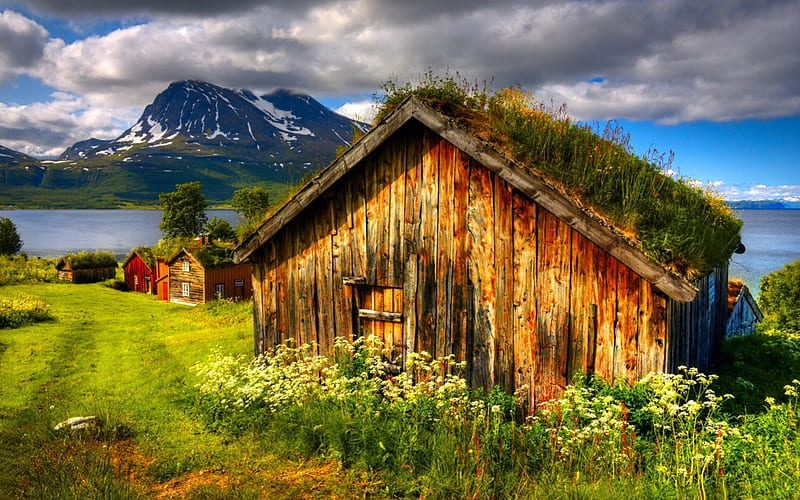 Norwegian traditional houses, pretty, cottages, grass, bonito, clouds, countryside, mountain, nice, calm, path, village, flowers, river, Norway, huts, cozy, lovely, traditional, houses, lake, water, serenity, slope, peaceful, summer, nature, wooden, HD wallpaper