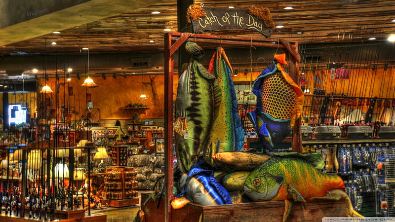 fishing store r, r, rods, fish, fishing store, HD wallpaper