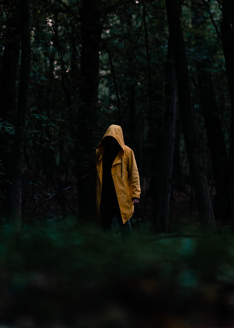 man, cloak, yellow, trees, forest, HD phone wallpaper