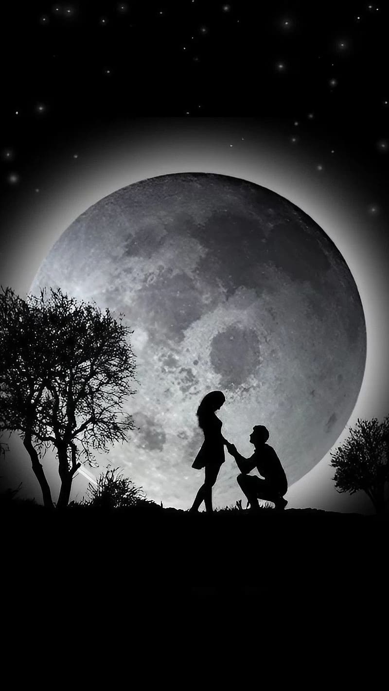 Couple Moon, Boy Proposes Girl, couple in love, moon background, HD phone wallpaper