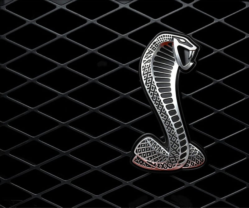 Silver Cobra, cobra, silver, snake, HD wallpaper