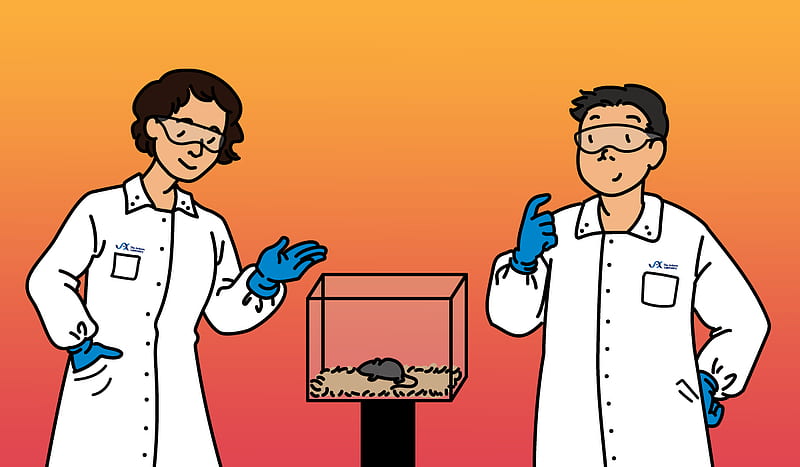 Mouse as a Model for Understanding Human Biology and Disease, Biology Cartoon, HD wallpaper