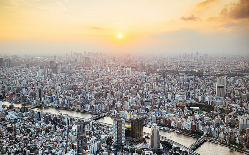 Tokyo, sunset, evening, cityscape, metropolis, buildings, japan, HD wallpaper
