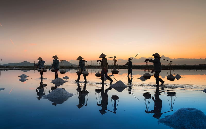 Workers Sunset Sea Salt Field Yalong Bay Vietnam, HD wallpaper