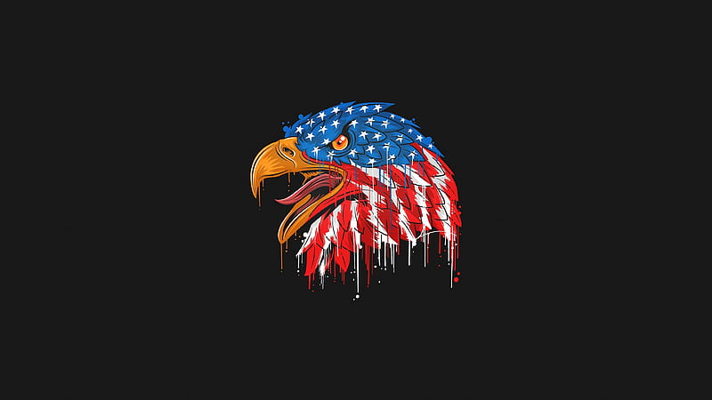 American Flag Eagle Minimal , eagle, usa, america, artist, artwork, digital-art, minimalism, minimalist, black, dark, HD wallpaper