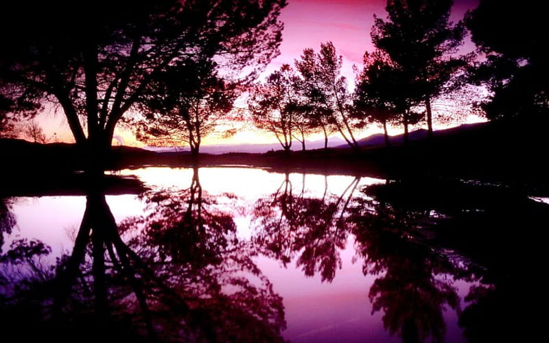 Purple sunrise., purple, mountains, sunlight, plants, sunrise, beautiful reflection, trees, lake, HD wallpaper