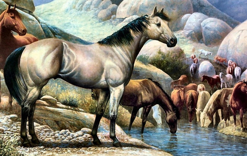 Ante caballo cuarto de milla f2, arte, ante, equino, caballo, obra de arte,  animal, Fondo de pantalla HD | Peakpx