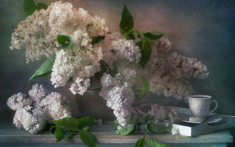 Lilacs, lilac, vase, spring, still life, liliac, green, bouquet, cup, flower, white, HD wallpaper