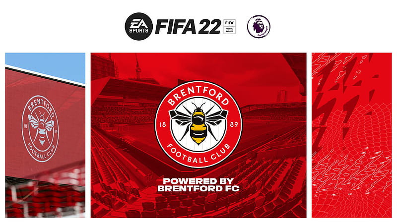 Video Game, FIFA 22, Brentford F.C., HD wallpaper