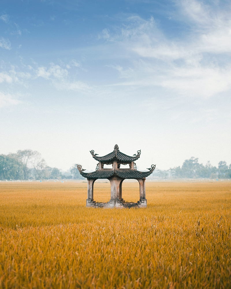 architecture, pagoda, structure, field, HD phone wallpaper