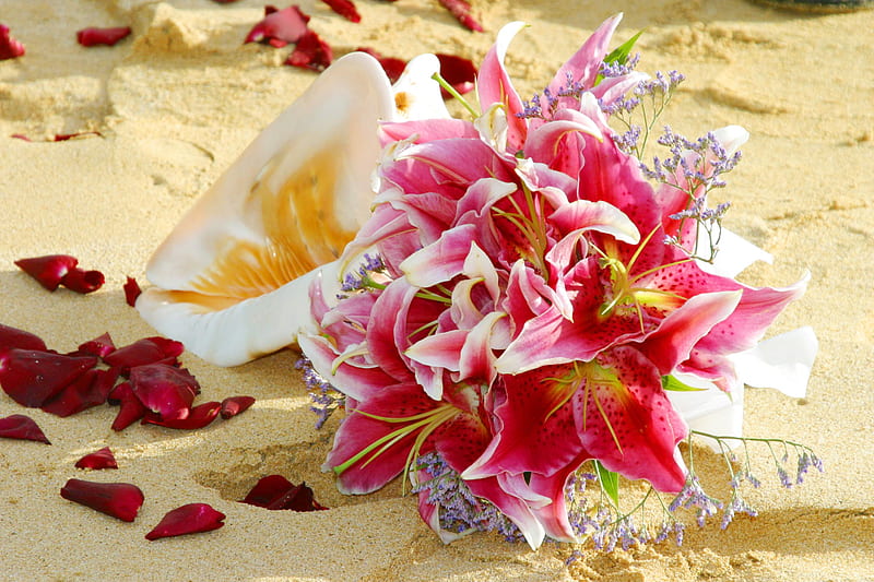Bouquet, romantic, romance, beach, still life, graphy, rose petals, sand, shell, flowers, petals, HD wallpaper