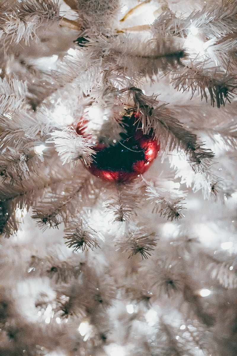 Red bauble on white Christmas tree, HD phone wallpaper | Peakpx