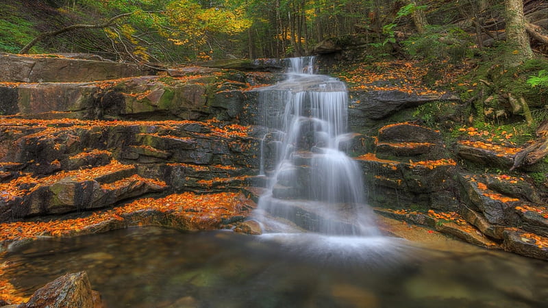 step waterfall in autumn r, forest, rocks, watefall, autumn, leaves, steps, HD wallpaper