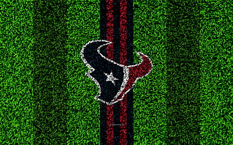 Wallpaper wallpaper, sport, logo, NFL, glitter, checkered, Houston Texans  images for desktop, section спорт - download