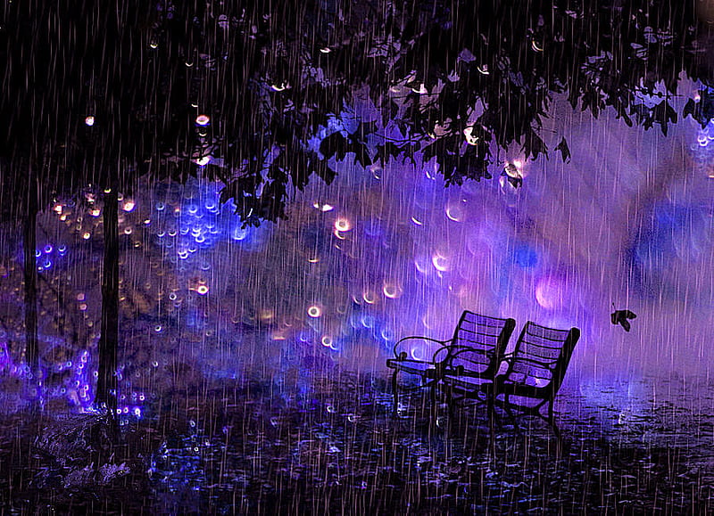 rain, bench, nature, purple, HD wallpaper