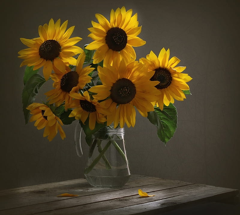 Still life, Yellow, Sunflowers, Vase, Summer, HD wallpaper | Peakpx