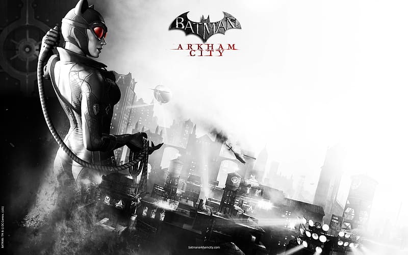 Batman Catwoman Video Game Batman Arkham City Hd Wallpaper Peakpx 0589