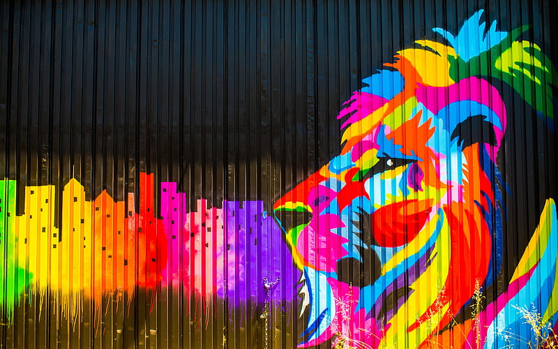 lion, art, graffiti, street art, wall, HD wallpaper