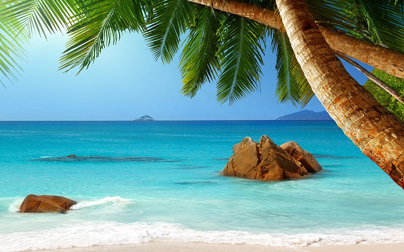 Beach In Seychelles, Rocks, Oceans, Seychelles, Beaches, Nature 