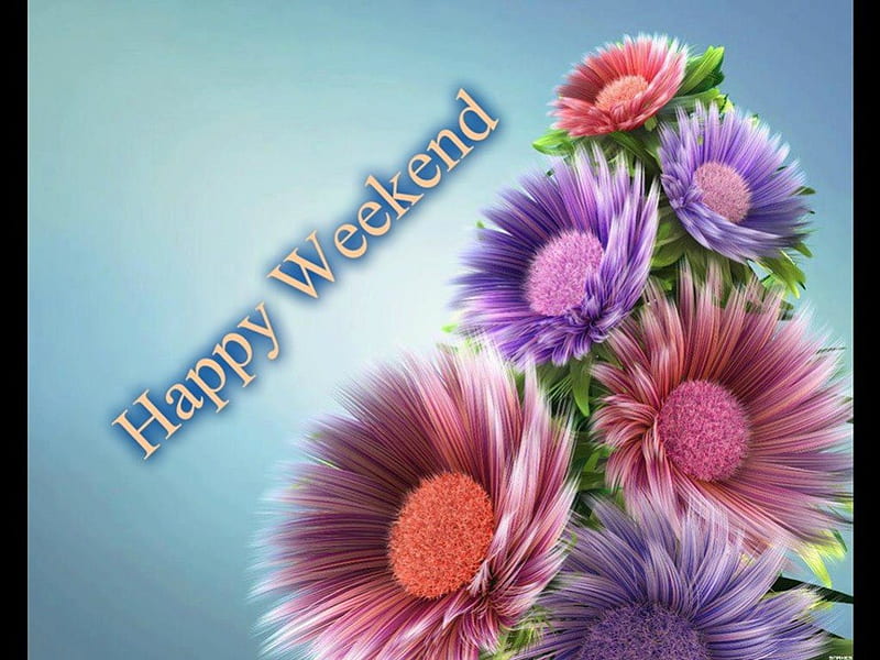 Happy Weekend, weekend, coloured flowers, wishes, happy, HD wallpaper
