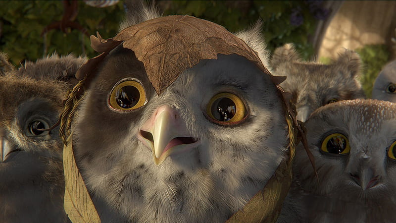 Legend of the Guardians-The Owls of GaHoole movie 09, HD wallpaper