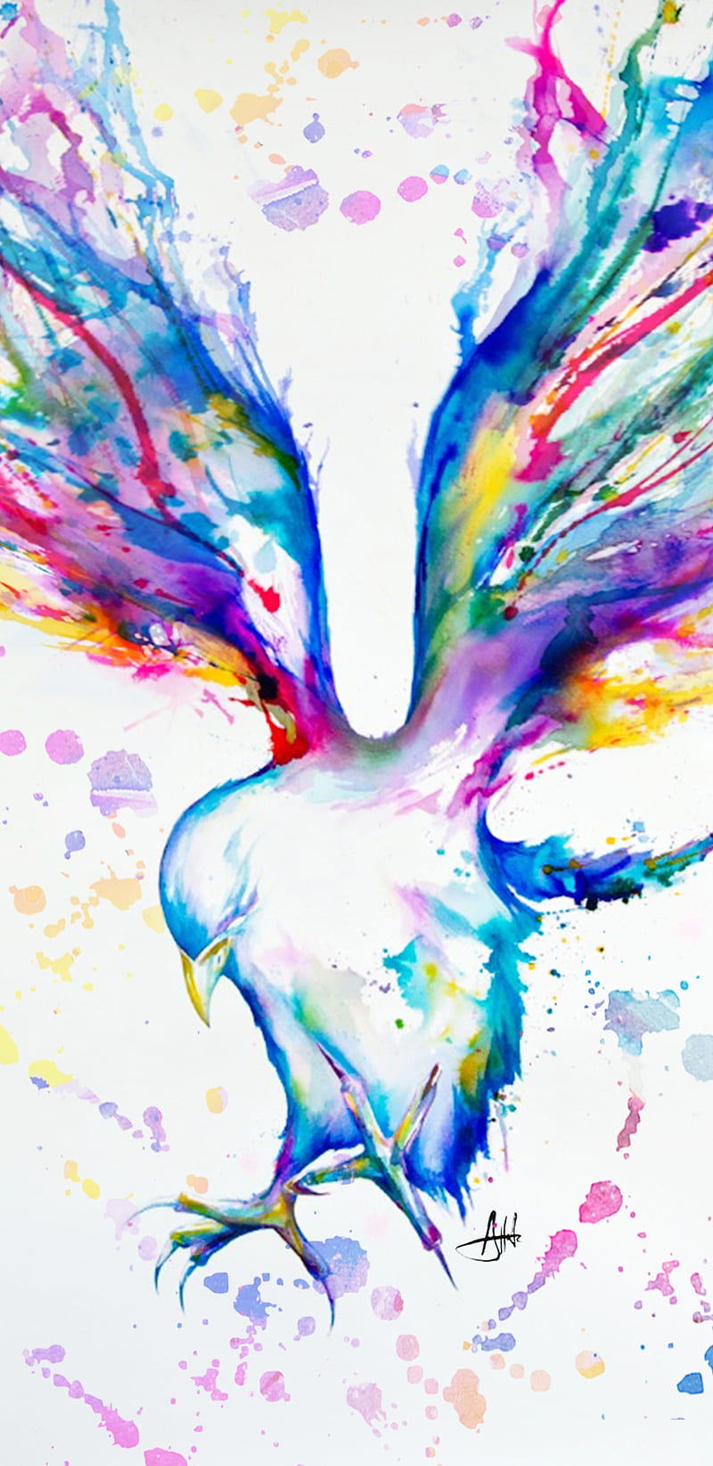 Rainbow Bird, abstract, color, colourful, pretty, HD mobile wallpaper ...